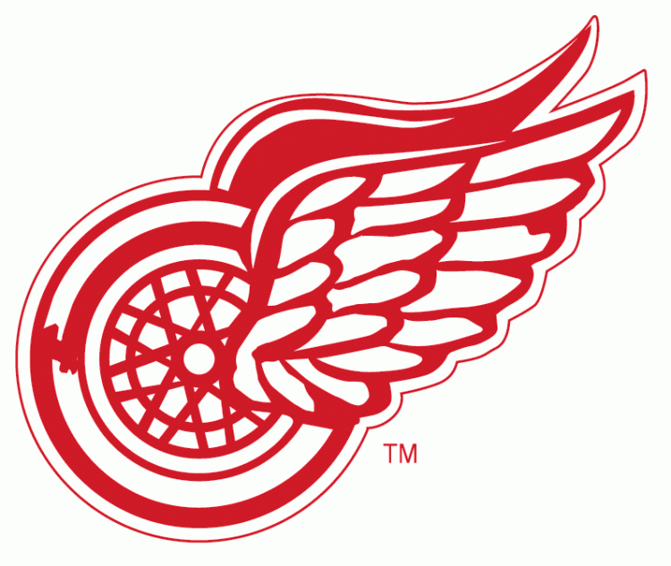 Detroit Red Wings 1932-1934 Alternate Logo t shirts iron on transfers